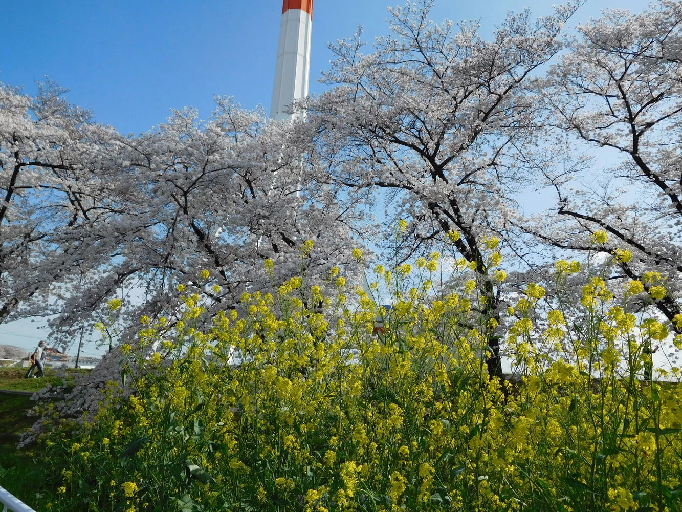 画像1740