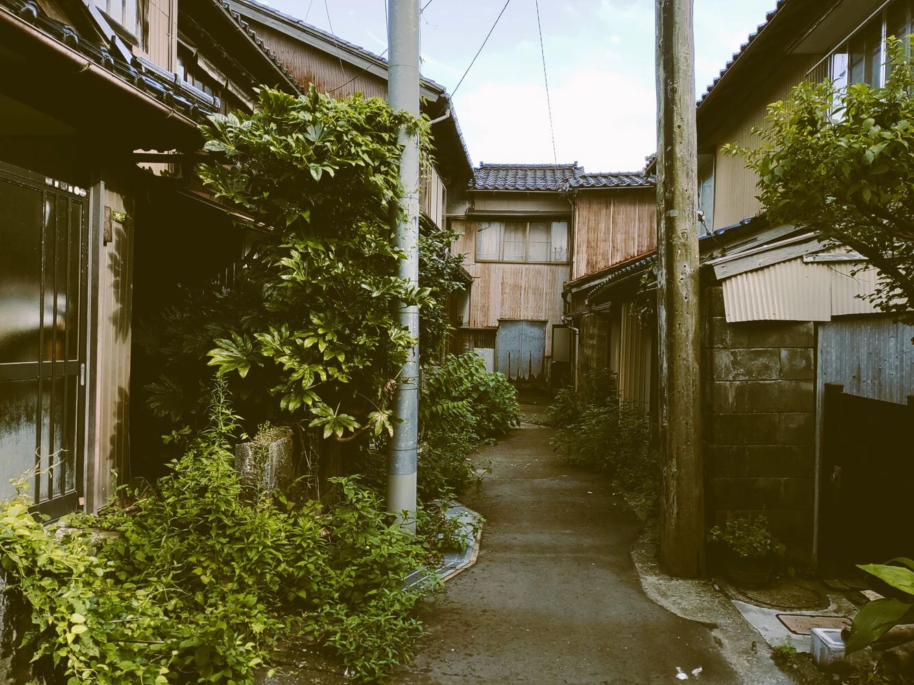 画像1763