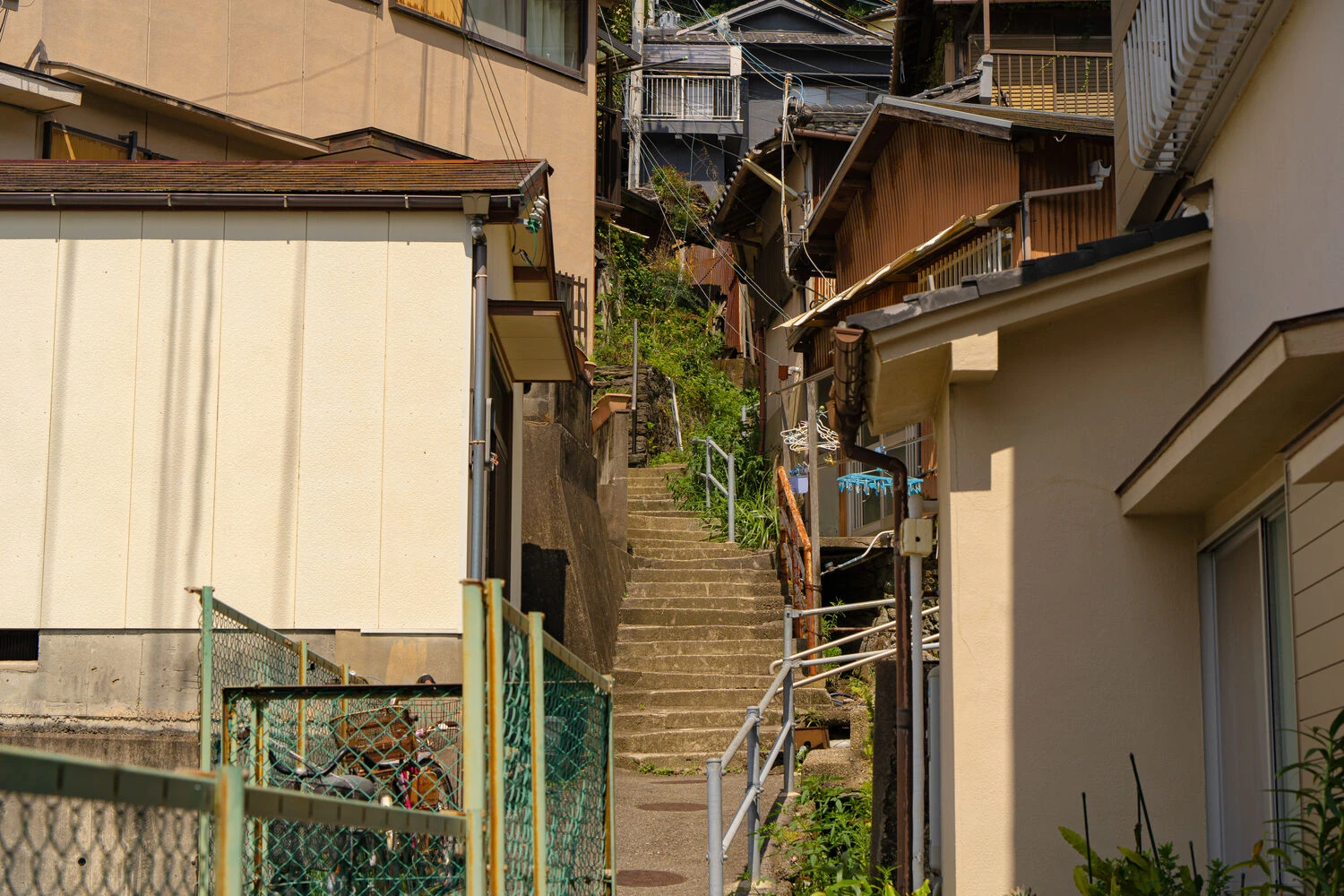 画像2613